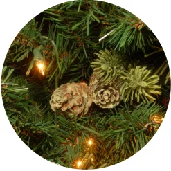 Pre-Lit Artificial Full Christmas Tree, Green, Carolina Pine, White Lights, Includes Stand, 7.5 Feet^National Tree Company Fashion
