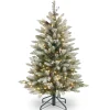Pre-Lit Artificial Full Christmas Tree, Green, Dunhill Fir, White Lights, Decorated With Pine Cones, Berry Clusters, Frosted Branches, Includes Stand, 4.5 Feet^National Tree Company Cheap