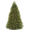 Pre-Lit Artificial Full Christmas Tree, Green, Dunhill Fir, Dual Color Led Lights, Includes Stand, 10 Feet^National Tree Company Best Sale
