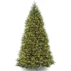 Pre-Lit Artificial Full Christmas Tree, Green, Dunhill Fir, Dual Color Led Lights, Includes Powerconnect And Stand, 10 Feet^National Tree Company Fashion