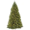 Pre-Lit Artificial Full Christmas Tree, Green, Dunhill Fir, White Lights, Includes Stand, 12 Feet^National Tree Company Cheap