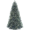 New National Tree Company Pre-Lit Artificial Full Christmas Tree, Blue, North Valley Spruce, White Lights, Includes Stand, 7.5 Feet