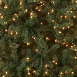 New National Tree Company Pre-Lit Artificial Full Christmas Tree, Blue, North Valley Spruce, White Lights, Includes Stand, 7.5 Feet