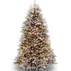 Sale National Tree Company Pre-Lit Artificial Full Christmas Tree, Green, Dunhill Fir, White Lights, Includes Stand, 6.5 Feet