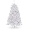 Pre-Lit Artificial Full Christmas Tree, White, North Valley Spruce, White Lights, Includes Stand, 4.5 Feet^National Tree Company Store