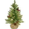 Pre-Lit Artificial Full Christmas Tree, Glittery Gold, Dunhill Fir, White Lights, Decorated With Pine Cones, Berry Clusters, Frosted Branches, Includes Burlap Base, 2 Feet^National Tree Company Store