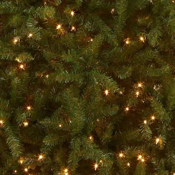 Cheap National Tree Company Pre-Lit Artificial Full Christmas Tree, Green, White Lights, Includes Stand, 10 Feet