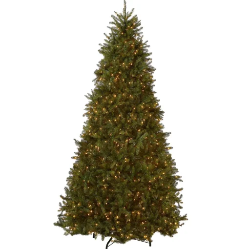 Cheap National Tree Company Pre-Lit Artificial Full Christmas Tree, Green, White Lights, Includes Stand, 10 Feet