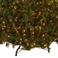 Cheap National Tree Company Pre-Lit Artificial Full Christmas Tree, Green, White Lights, Includes Stand, 10 Feet