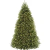 Hot National Tree Company Pre-Lit Artificial Full Christmas Tree, Green, Dunhill Fir, Dual Color Led Lights, Includes Stand, 9 Feet