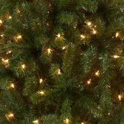 Sale National Tree Company Pre-Lit Artificial Full Christmas Tree, Green, North Valley Spruce, White Lights, Includes Stand, 5 Feet