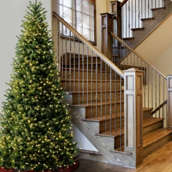 Pre-Lit Artificial Giant Slim Christmas Tree, Green, White Lights, Includes Stand, 12 Feet^National Tree Company Clearance