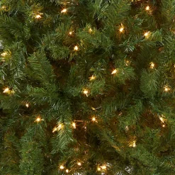 Discount National Tree Company Pre-Lit Artificial Medium Christmas Tree, Green, Kincaid Spruce, White Lights, Includes Stand, 6 Feet
