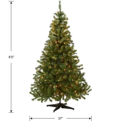 Discount National Tree Company Pre-Lit Artificial Medium Christmas Tree, Green, Kincaid Spruce, White Lights, Includes Stand, 6 Feet