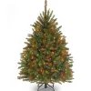 Online National Tree Company Pre-Lit Artificial Mini Christmas Tree, Green, Dunhill Fir, Multicolor Lights, Includes Stand, 4 Feet