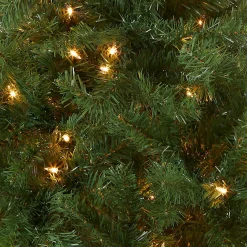 Cheap National Tree Company Pre-Lit Artificial Mini Christmas Tree, Green, Kincaid Spruce, White Lights, Includes Stand, 4 Feet