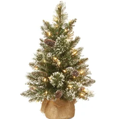 Fashion National Tree Company Pre-Lit Artificial Mini Christmas Tree, Green, Glittery Bristle Pine, White Led Lights, Flocked With Pine Cones, Frosted Branches, Includes Cloth Bag Base, 2 Feet