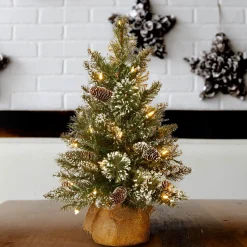 Fashion National Tree Company Pre-Lit Artificial Mini Christmas Tree, Green, Glittery Bristle Pine, White Led Lights, Flocked With Pine Cones, Frosted Branches, Includes Cloth Bag Base, 2 Feet
