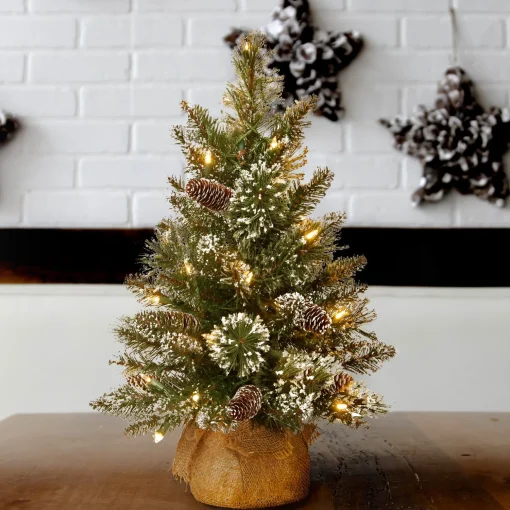 Fashion National Tree Company Pre-Lit Artificial Mini Christmas Tree, Green, Glittery Bristle Pine, White Led Lights, Flocked With Pine Cones, Frosted Branches, Includes Cloth Bag Base, 2 Feet