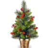 Online National Tree Company Pre-Lit Artificial Mini Christmas Tree, Green, Crestwood Spruce, White Lights, Decorated With Pine Cones, Berry Clusters, Frosted Branches, Includes Pot Base, 2 Feet