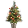 Outlet National Tree Company Pre-Lit Artificial Mini Christmas Tree, Green, Crestwood Spruce, White Lights, Decorated With Pine Cones, Berry Clusters, Frosted Branches, Includes Pot Base, 2 Feet