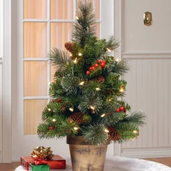 Outlet National Tree Company Pre-Lit Artificial Mini Christmas Tree, Green, Crestwood Spruce, White Lights, Decorated With Pine Cones, Berry Clusters, Frosted Branches, Includes Pot Base, 2 Feet