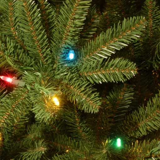 Store National Tree Company Pre-Lit Artificial Slim Christmas Tree, Green, Natural Fraser Fir, Multicolor Lights, Includes Stand, 9 Feet