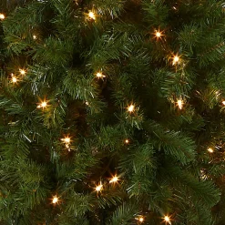 Cheap National Tree Company Pre-Lit Artificial Slim Christmas Tree, Green, North Valley Spruce, White Lights, Includes Stand, 7.5 Feet