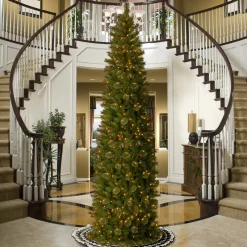 Shop National Tree Company Pre-Lit Artificial Slim Christmas Tree, Tacoma Pine, Green, White Lights, Includes Stand, 12 Feet