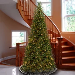 Clearance National Tree Company Pre-Lit Artificial Slim Christmas Tree, Green, Dunhill Fir, White Lights, Includes Stand, 10 Feet
