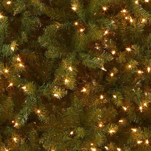 Sale National Tree Company Pre-Lit Artificial Slim Christmas Tree, Green, White Lights, Includes Stand, 6.5 Feet