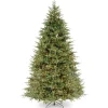 Pre-Lit 'Feel Real' Artificial Slim Christmas Tree, Green, Frasier Grande, White Lights, Includes Stand, 9 Feet^National Tree Company Sale
