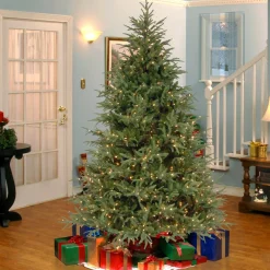Pre-Lit 'Feel Real' Artificial Slim Christmas Tree, Green, Frasier Grande, White Lights, Includes Stand, 9 Feet^National Tree Company Sale