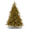 Store National Tree Company Pre-Lit 'Feel Real' Artificial Full Christmas Tree, Green, Frasier Grande, Dual Color Led Lights, Includes Stand, 6 Feet