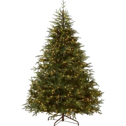 Store National Tree Company Pre-Lit 'Feel Real' Artificial Full Christmas Tree, Green, Frasier Grande, Dual Color Led Lights, Includes Stand, 6 Feet