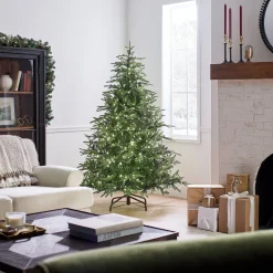 Store National Tree Company Pre-Lit 'Feel Real' Artificial Full Christmas Tree, Green, Frasier Grande, Dual Color Led Lights, Includes Stand, 6 Feet