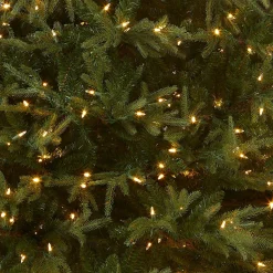 Store National Tree Company Pre-Lit 'Feel Real' Artificial Full Christmas Tree, Green, Frasier Grande, Dual Color Led Lights, Includes Stand, 6 Feet