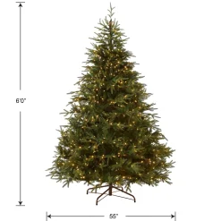 Store National Tree Company Pre-Lit 'Feel Real' Artificial Full Christmas Tree, Green, Frasier Grande, Dual Color Led Lights, Includes Stand, 6 Feet