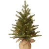 Pre-Lit 'Feel Real' Artificial Mini Christmas Tree, Green, Nordic Spruce, White Lights, Includes Burlap Bag Base, 2 Feet^National Tree Company Outlet