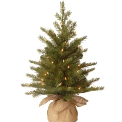 Pre-Lit 'Feel Real' Artificial Mini Christmas Tree, Green, Nordic Spruce, White Lights, Includes Burlap Bag Base, 2 Feet^National Tree Company Outlet