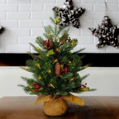 Online National Tree Company Pre-Lit 'Feel Real' Artificial Mini Christmas Tree, Green, Nordic Spruce, White Lights, Flocked With Pine Cones, Red Berries, Includes Burlap Bag Base, 3 Feet