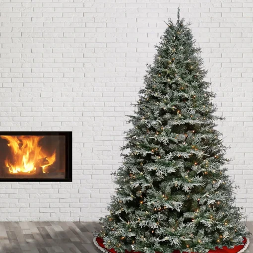 Store National Tree Company Pre-Lit 'Feel Real' Artificial Christmas Tree, Snowy Stonington Fir, Green, Dual Color Led Lights, Includes Stand, 7.5 Feet
