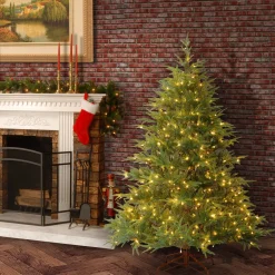 Outlet National Tree Company Pre-Lit 'Feel Real' Artificial Full Christmas Tree, Green, Frasier Grande, Dual Color Led Lights, Includes Stand, 6 Feet