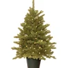 Best Sale National Tree Company Pre-Lit 'Feel Real' Artificial Christmas Tree, Hampton Spruce, Green, White Lights, Includes Pot Base, 3 Feet