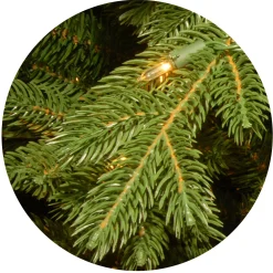 Pre-Lit 'Feel Real' Artificial Full Downswept Christmas Tree, Green, Douglas Fir, Dual Color Led Lights, Includes Stand And Powerconnect, 7.5 Feet^National Tree Company Clearance