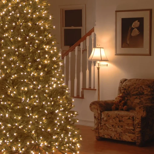 Pre-Lit 'Feel Real' Artificial Christmas Tree, Jersey Fraser Fir, Green, Dual Color Led Lights, Includes Stand, 9 Feet^National Tree Company Outlet