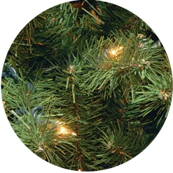 Pre-Lit 7.5Ft Artificial Full Christmas Tree, Green, North Valley Spruce, Dual Color Led Lights^National Tree Company Sale
