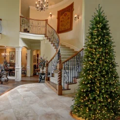 Fashion National Tree Company Pre-Lit Slim Artificial Christmas Tree, Green, Jersey Fraser Fir, 'Feel Real', White Lights, Includes Stand, 9 Feet