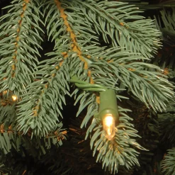 Discount National Tree Company Replacement Soft White Low Voltage Led Bulbs In Bag Ul- 3 Volts