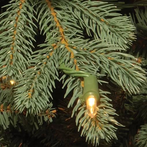 Discount National Tree Company Replacement Soft White Low Voltage Led Bulbs In Bag Ul- 3 Volts